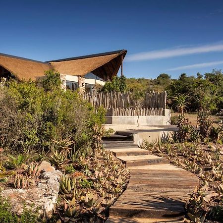 Lalibela Game Reserve - Kichaka Lodge Paterson Bagian luar foto