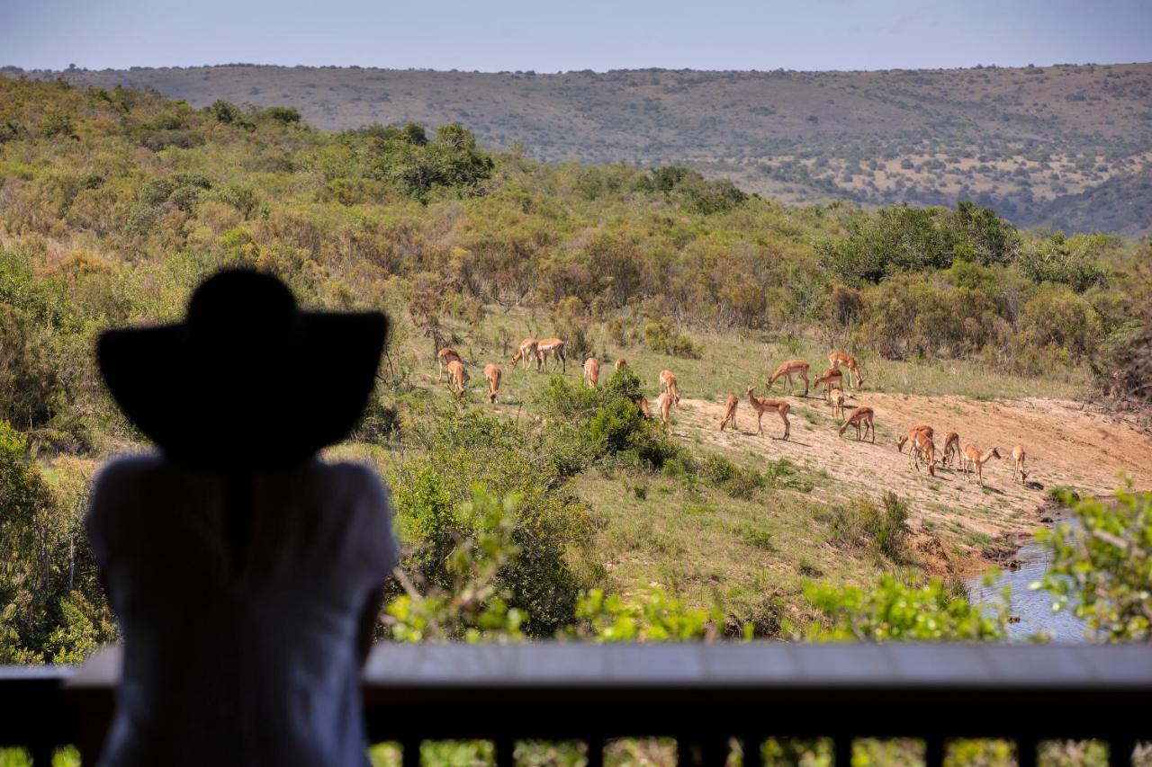 Lalibela Game Reserve - Kichaka Lodge Paterson Bagian luar foto