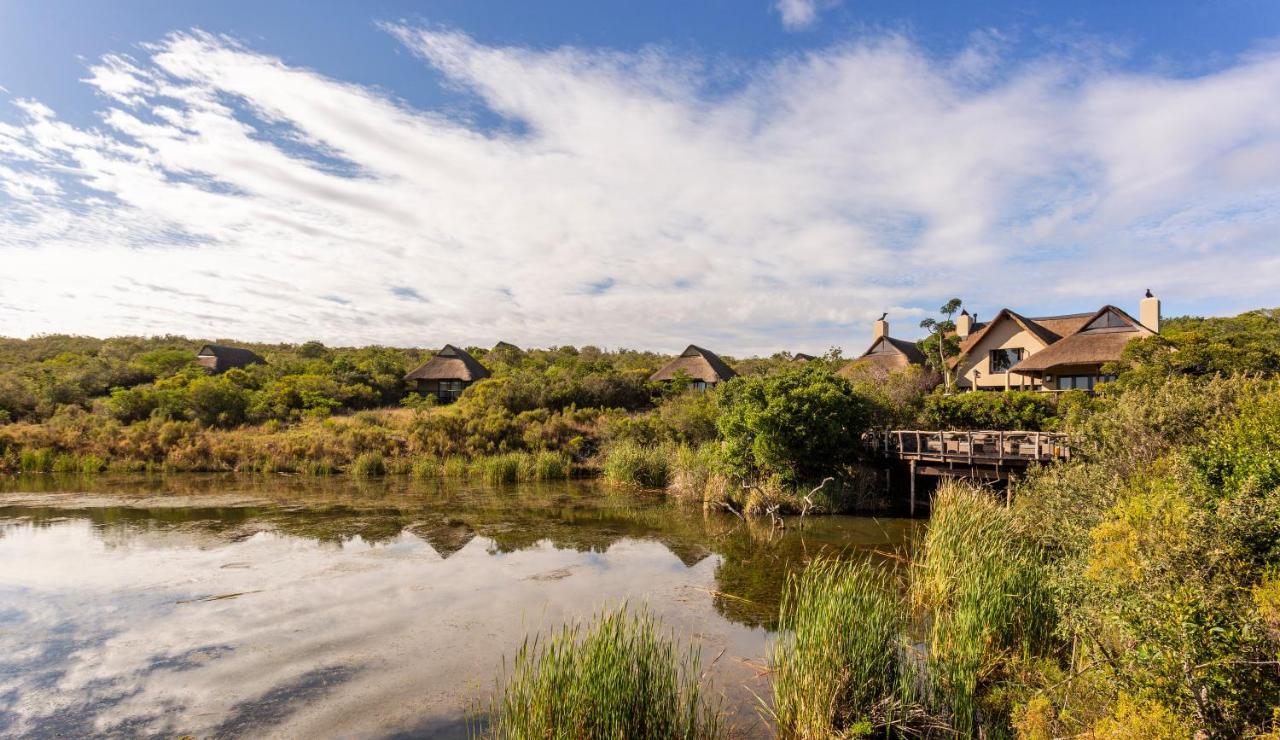 Lalibela Game Reserve - Kichaka Lodge Paterson Bagian luar foto