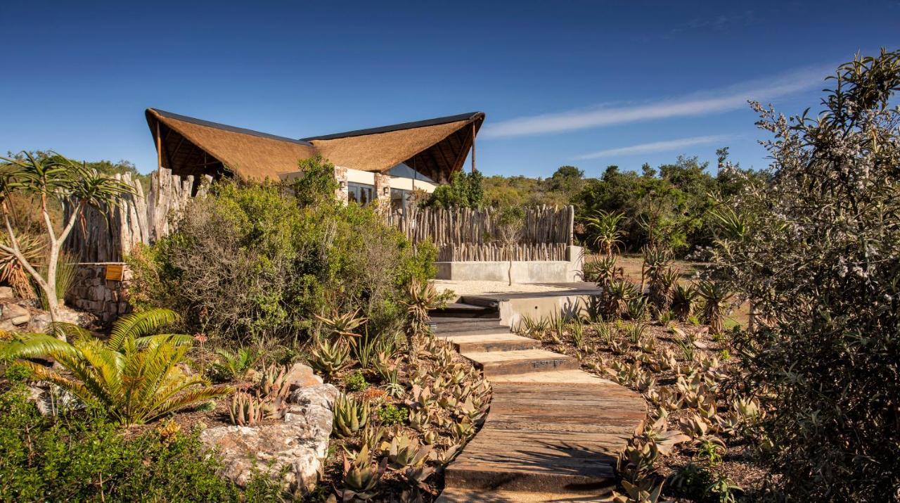 Lalibela Game Reserve - Kichaka Lodge Paterson Bagian luar foto