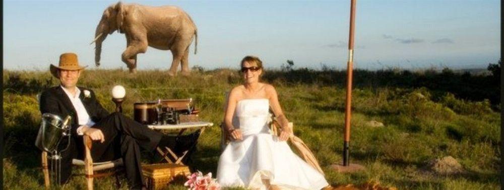Lalibela Game Reserve - Kichaka Lodge Paterson Bagian luar foto