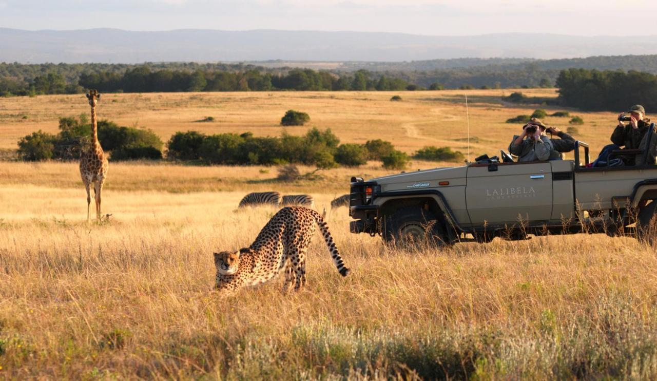 Lalibela Game Reserve - Kichaka Lodge Paterson Bagian luar foto